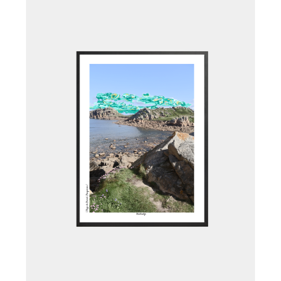 Affiche Photo "Pointe de...