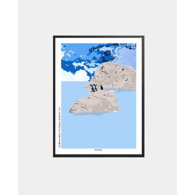 Affiche "Macareux-Moines &...