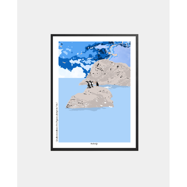 Affiche "Macareux-Moines & Pingouins" Archipel 7 îles