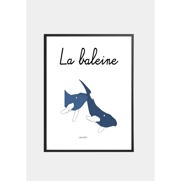 Affiche La baleine (Nantes)