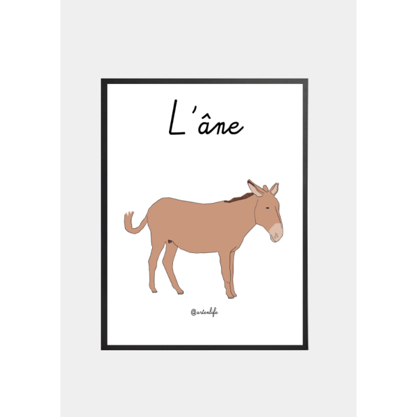 Affiche L'âne (Bretagne)