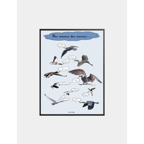 Affiche Oiseaux des marais (Bretagne)