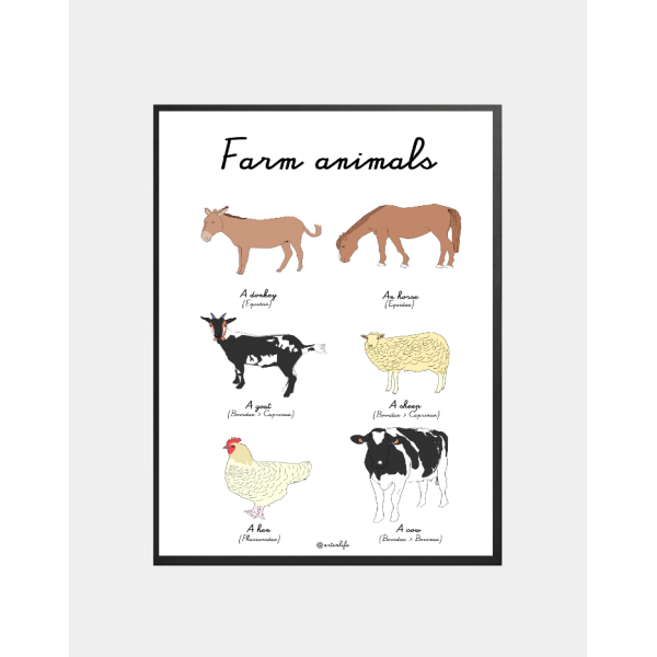 Affiche Farm animals (France)